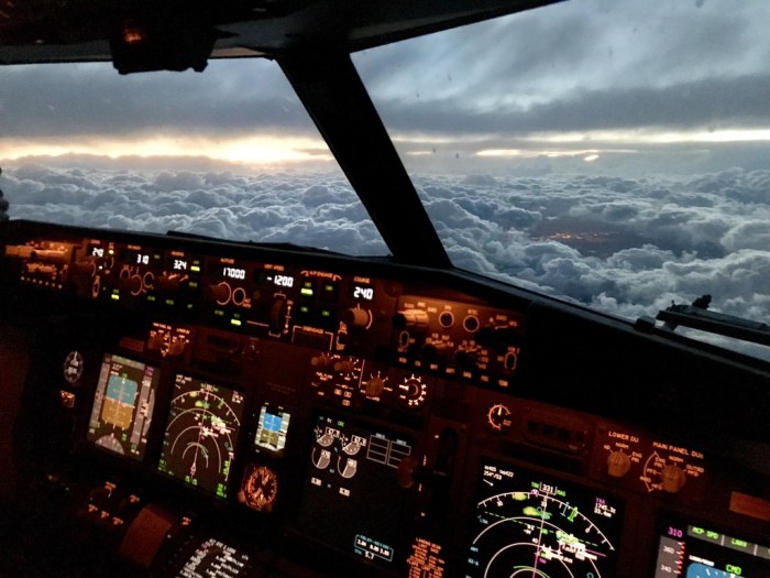 green9 day at the office