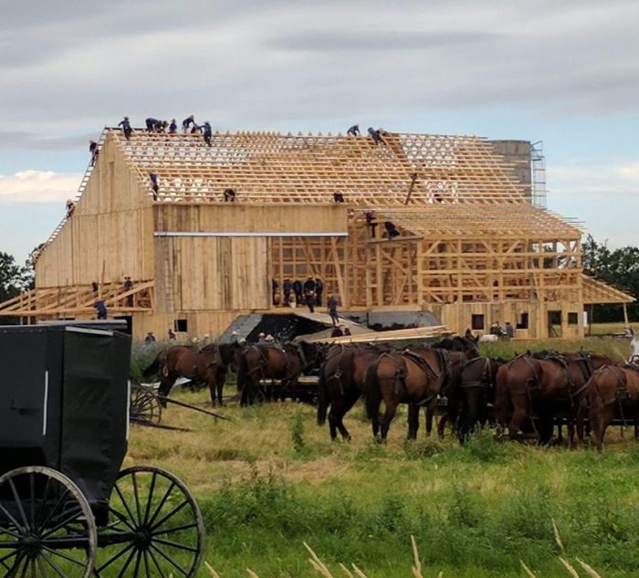 greenx7 amish