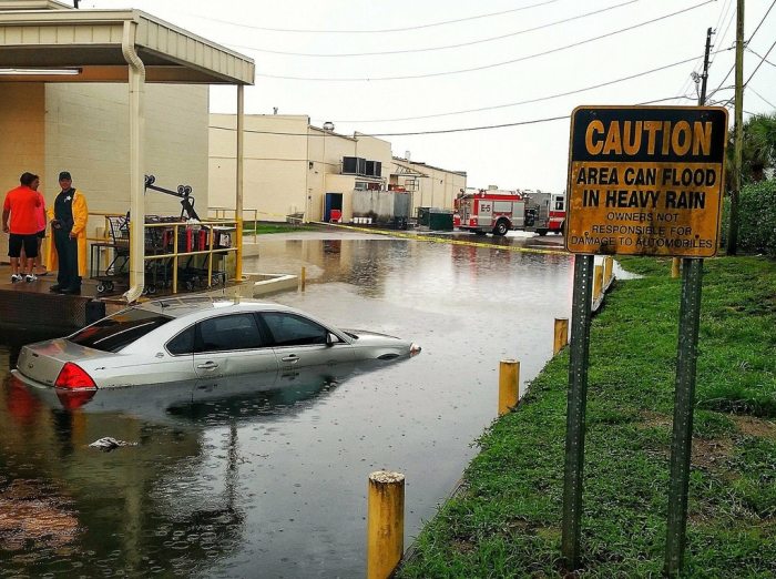 greenx9 south central florida