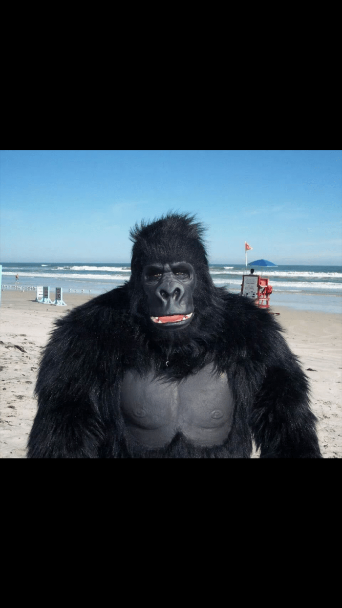 gorilla.png