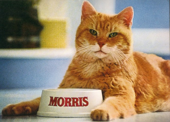 morris