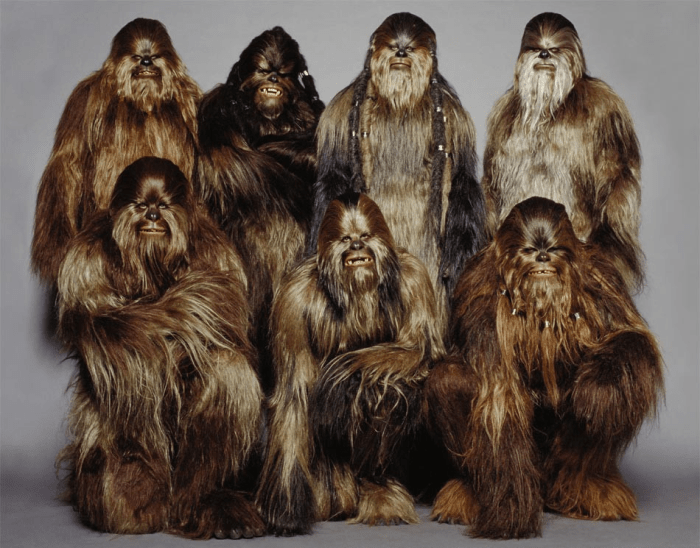 chewbacca1