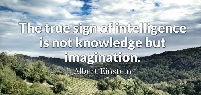 coolalberteinstein1-2x