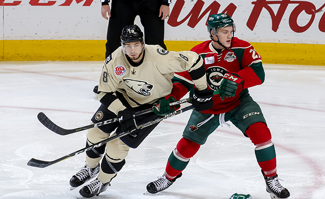 Iowa Wild vs Manitoba Moose