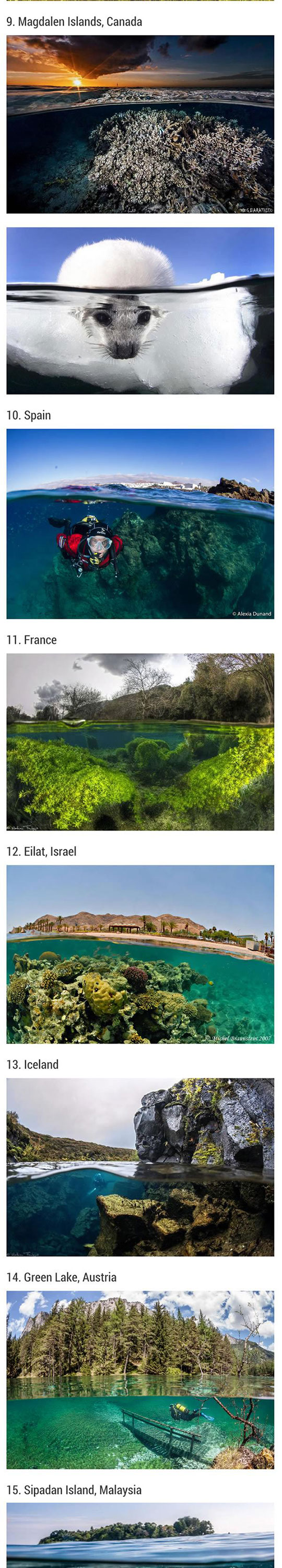 cool-animals-photos-underwater-sea (1)