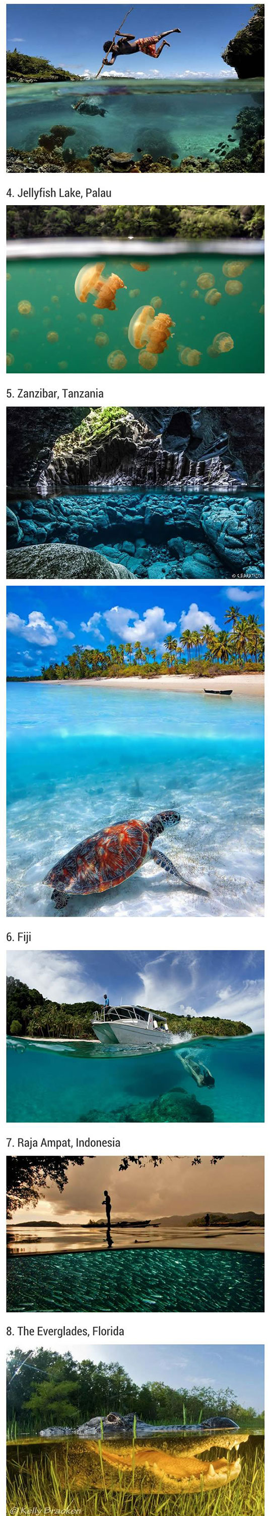 cool-photographs-nature-underwater-treasure 2(1)