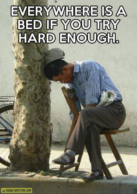 funny-man-sleeping-street-tree