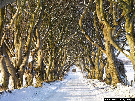 DARK-HEDGES-IRELAND-570