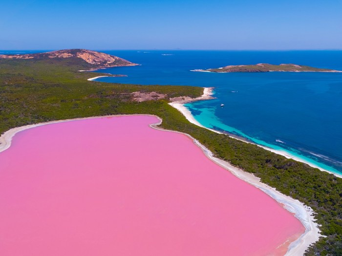 Lake-Hillier-Landscape