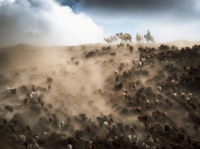 28-best_pod_landscapes.adapt.885.1