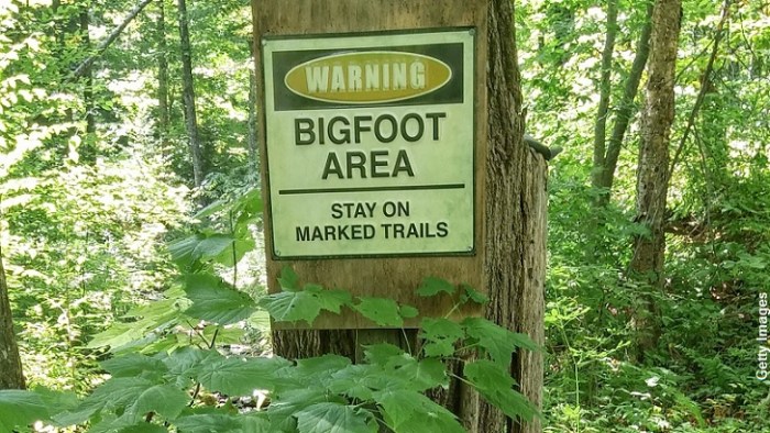 Bigfoot-Warning