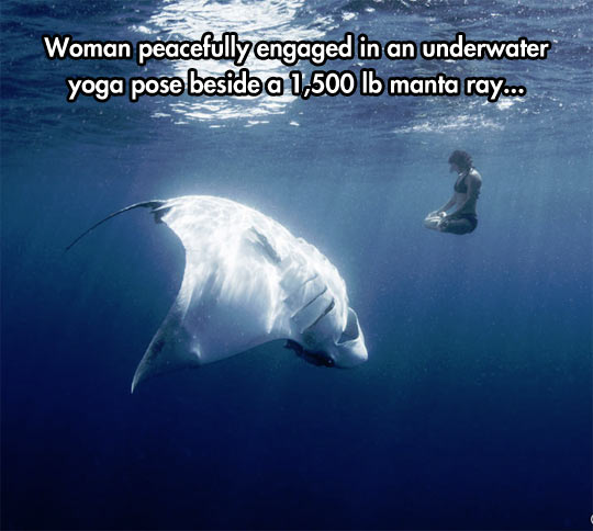 coolfunny-woman-manta-ray-yoga-sea