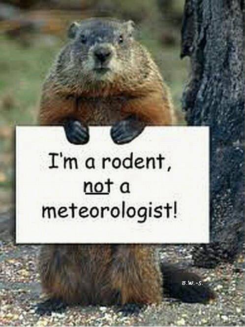 groundhog