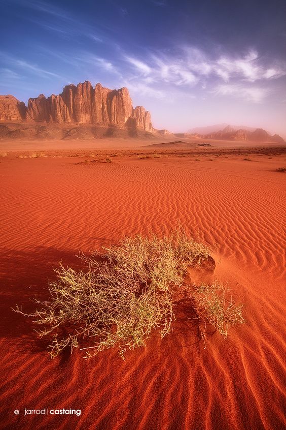 desert jordan wadi rum